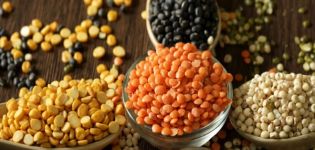 What does lentil look like and what it is, its types and varieties with a description