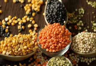 What does lentil look like and what it is, its types and varieties with a description