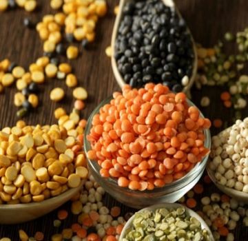 Seperti apa lentil dan apa itu, jenis dan jenisnya dengan keterangan