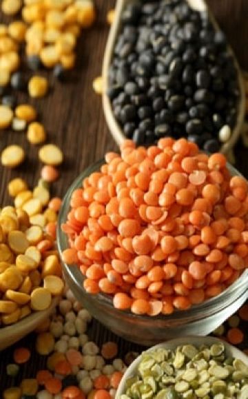 What does lentil look like and what it is, its types and varieties with a description