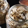 TOP 10 delicious recipes for making pickled oyster mushrooms for the winter at home