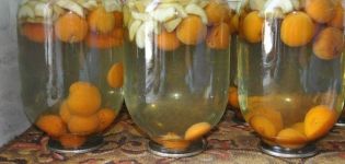 A step-by-step recipe for making apple and apricot compote for the winter