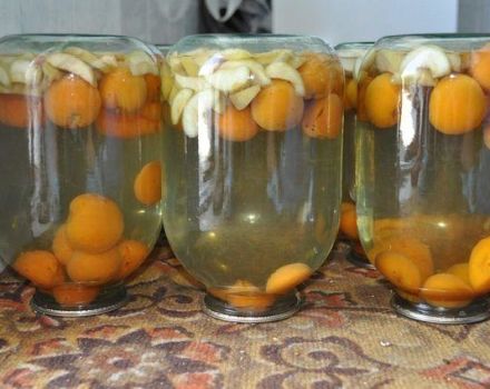 Une recette pas à pas pour faire de la compote de pommes et d'abricots pour l'hiver