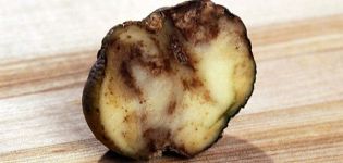 Signs, treatment and prevention of potato cancer