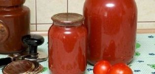 TOP 10 des meilleures recettes de jus de tomate pour l'hiver à la maison