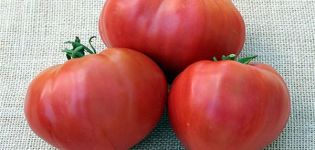 Characteristics and description of the Kosovo tomato variety