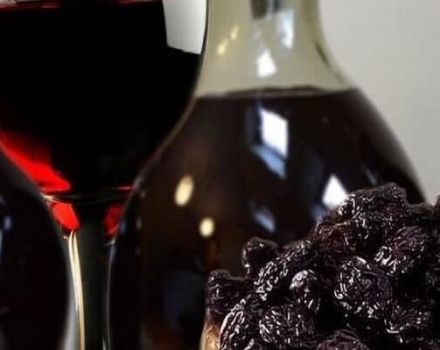 4 recettes faciles pour faire du vin de pruneau à la maison