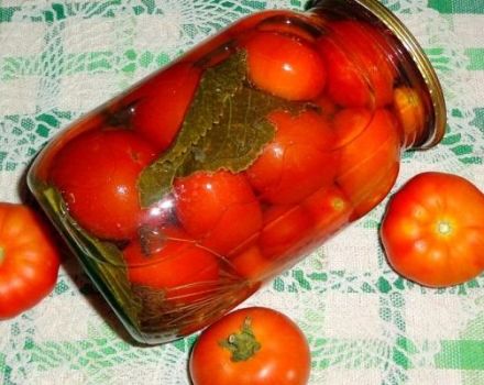 16 recetas para encurtir tomates sin vinagre para el invierno