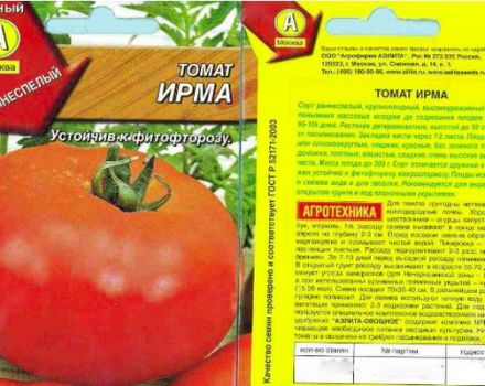 Descripción de la variedad de tomate Irma y sus características