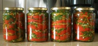 14 najboljih detaljnih recepata za pravljenje paprika za zimu