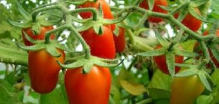 Description de la variété de tomates cerises et de ses caractéristiques