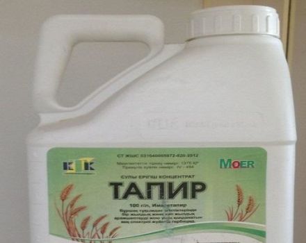 Instructions for the use of the herbicide Tapir, mechanism of action and consumption rates