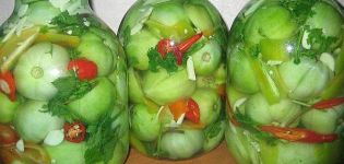 TOP 20 simple recipes for green tomato snacks for the winter