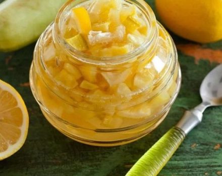 6 best step-by-step zucchini jam recipes with lemon and orange