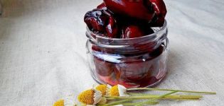 Recette étape par étape pour une collation aux prunes marinées comme des olives pour l'hiver