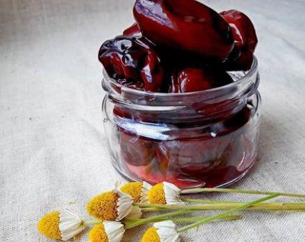 Step-by-step recipe for pickled plum snack like olives for the winter