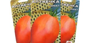 Penerangan mengenai varieti tomato Altayechka dan ciri-cirinya