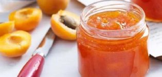 Recette pour faire de la confiture d'abricot à la pectine pour l'hiver