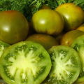 Characteristics and description of the tomato variety Emerald apple, its yield