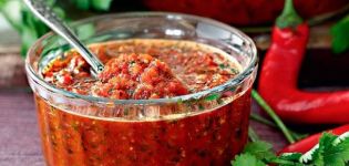 2 best recipes for cooking adjika with cilantro and tomatoes