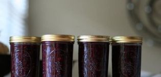 Simple recipes for making jelly for the winter from blueberries