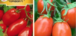 Description de la variété de tomates Torquay et de ses caractéristiques