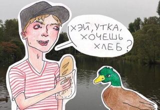 Is it possible or not to feed the ducks with bread, which is allowed and which is not allowed