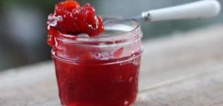 A simple recipe for making bird cherry jam for the winter