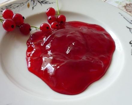 Recette étape par étape pour faire de la confiture de groseille noire et rouge ensemble