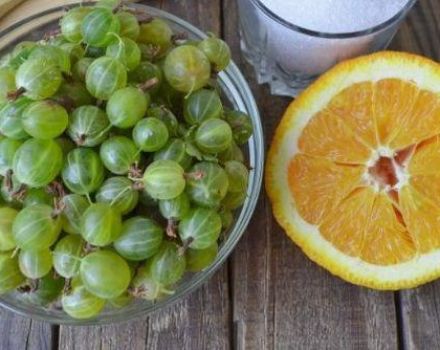 9 best step-by-step gooseberry orange jam recipes for the winter