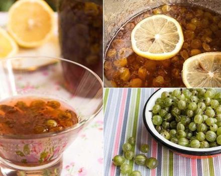 A simple step-by-step recipe for gooseberries with lemon for the winter without cooking