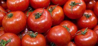 Ciri dan keterangan mengenai varieti tomato Bistrenok, hasilnya