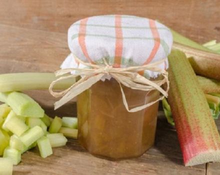 14 resipi terbaik untuk membuat kosong rhubarb untuk musim sejuk