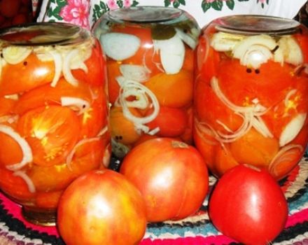 Popular recipes for tomatoes for the winter in Czech you will lick your fingers