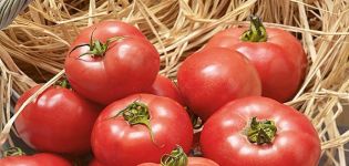 Description of the variety of tomato Erofeich pink, features of cultivation and care