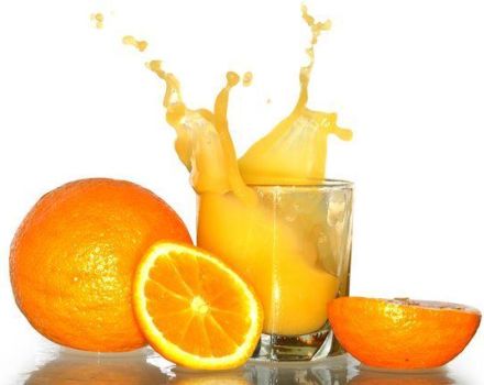 TOP 10 recipes for making orange juice for the winter at home