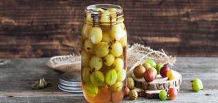 13 best recipes for making gooseberry blanks for the winter