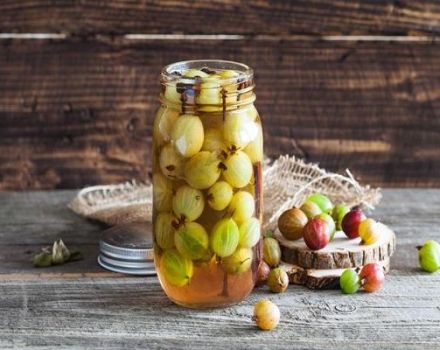 13 best recipes for making gooseberry blanks for the winter