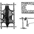 Règles d'habillage et de traitement des peaux de bovins à domicile, classification