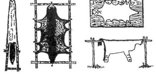 Rules for dressing and processing cattle skins at home, classification