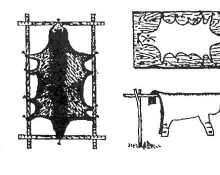 Rules for dressing and processing cattle skins at home, classification