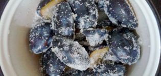 Est-il possible de congeler des prunes pour l'hiver et comment le faire correctement au congélateur, avec du sucre et avec un os