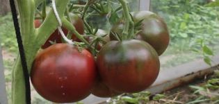 Bel homme basané avec un goût vif de tomate gitane