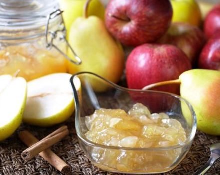 TOP 7 recettes pour faire de la confiture de poires et de pommes pour l'hiver