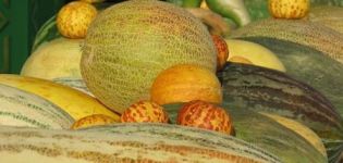 Description des variétés de melons avec des noms, quelles sont les variétés