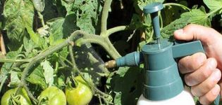 The better to process tomatoes from powdery mildew