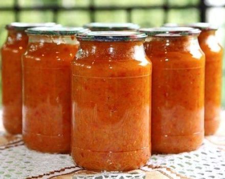 A 9 legfontosabb recept a squash kaviár paradicsomos főzéséhez télen