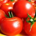 When to plant tomatoes for seedlings in Ukraine in 2020