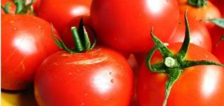 Bilakah menanam tomato untuk anak benih di Ukraine pada tahun 2020