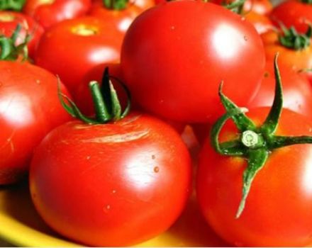 Cuándo plantar tomates para plántulas en Ucrania en 2020